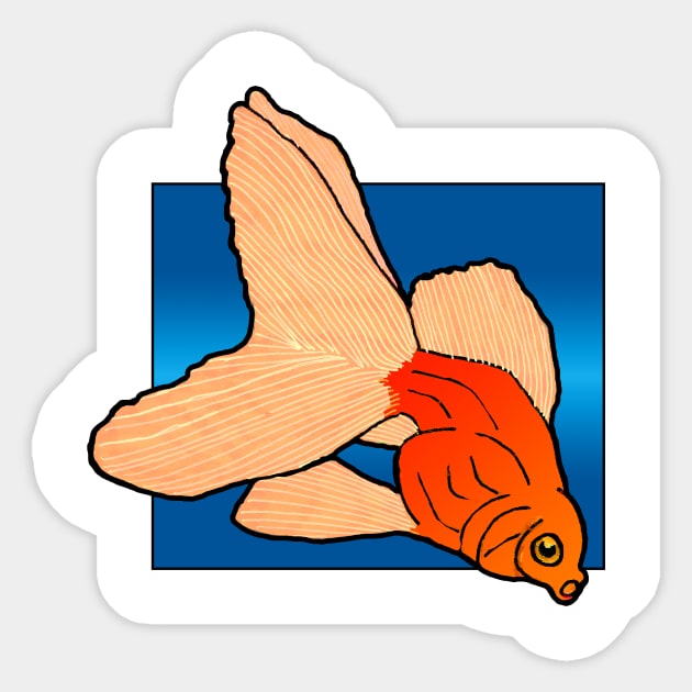 Oranda goldfish Sticker by Shyflyer